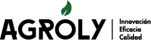 Nuevo