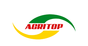 Nuevo