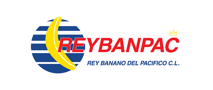 Nuevo